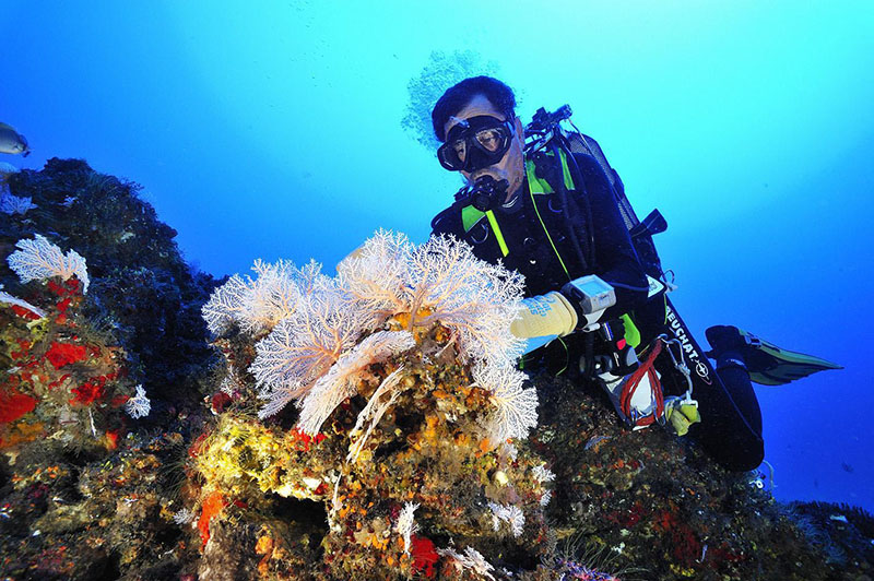 Scuba Divers, La Réunion, TSMOI, Underwater work, Ship Hull Inspection